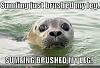 Click image for larger version

Name:	funny-pictures-brushed-seal-leg-panic.jpg
Views:	64
Size:	34.8 KB
ID:	122286