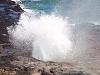 Click image for larger version

Name:	Blowhole2.jpg
Views:	21
Size:	88.7 KB
ID:	183725