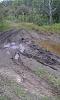 Click image for larger version

Name:	mud hole.jpg
Views:	774
Size:	46.1 KB
ID:	193055