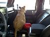Click image for larger version

Name:	IMG-20101006-00013.jpg
Views:	539
Size:	57.0 KB
ID:	222313