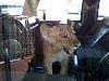 Click image for larger version

Name:	IMG-20101006-00016.jpg
Views:	545
Size:	64.8 KB
ID:	222314