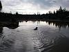 Click image for larger version

Name:	LAKE 1.jpg
Views:	123
Size:	60.3 KB
ID:	233428