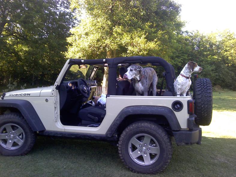 Great Danes and Jeeps  - The top destination for Jeep JK and  JL Wrangler news, rumors, and discussion