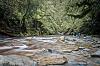 Click image for larger version

Name:	campingsouth'11-3.jpg
Views:	385
Size:	100.4 KB
ID:	266108