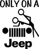 Click image for larger version

Name:	OnlyonAjeep.jpg
Views:	54
Size:	8.8 KB
ID:	272970