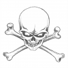 Click image for larger version

Name:	Skull&Bones.png
Views:	193
Size:	64.3 KB
ID:	272971