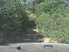 Click image for larger version

Name:	Brushy Trail.jpg
Views:	156
Size:	90.1 KB
ID:	311003