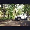 Click image for larger version

Name:	Riley at park.jpg
Views:	500
Size:	85.3 KB
ID:	312286