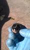 Click image for larger version

Name:	ForumRunner_20120519_164405.jpg
Views:	215
Size:	34.1 KB
ID:	318766