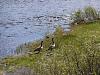Click image for larger version

Name:	salt lake trip 2012 098.jpg
Views:	152
Size:	100.2 KB
ID:	390458
