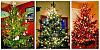 Click image for larger version

Name:	xmastrees.jpg
Views:	455
Size:	100.9 KB
ID:	396619