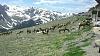 Click image for larger version

Name:	ForumRunner_20130313_220758.jpg
Views:	117
Size:	64.2 KB
ID:	433703