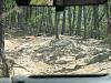 Click image for larger version

Name:	Uwharrie2.jpg
Views:	332
Size:	98.5 KB
ID:	446611