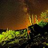 Click image for larger version

Name:	Night.jpg
Views:	462
Size:	82.6 KB
ID:	490328