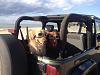 Click image for larger version

Name:	Doggles 2009 (1024x768).jpg
Views:	617
Size:	54.6 KB
ID:	515819