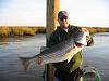 Click image for larger version

Name:	fish.jpg
Views:	1017
Size:	42.0 KB
ID:	5334