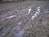 Click image for larger version

Name:	Just Mud2.jpg
Views:	133
Size:	20.6 KB
ID:	5392