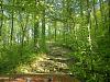 Click image for larger version
Name: jeepin 4-01-14 1541.jpg
Views: 561
Size: 97.6 KB
ID: 550907