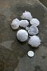 Click image for larger version

Name:	May Day Hail Storm, May 08, 0413, Hail Stones Next to Quarter.jpg
Views:	641
Size:	342.9 KB
ID:	645471