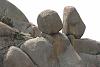 Click image for larger version

Name:	C921, Charon's Garden, Jun 07, 0611, Bryan, Curtis, Joel and Daniel Rest Under Apple.jpg
Views:	140
Size:	1.13 MB
ID:	662331
