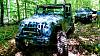 Click image for larger version

Name:	Penns Woods 2017 b.jpg
Views:	206
Size:	434.2 KB
ID:	672894