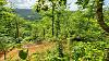 Click image for larger version

Name:	r1lp6AMh.jpg
Views:	26
Size:	269.3 KB
ID:	678031