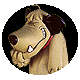 Muttley2011's Avatar