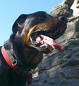 or-alpinist's Avatar