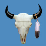 Pine Buffalo's Avatar