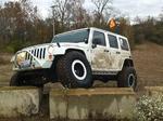 SILVERBACK-USA's Avatar