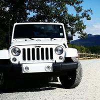 Stormtroopah's Avatar