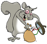 Psycho Squirrel's Avatar