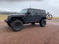 Taylor520Tucson's Avatar