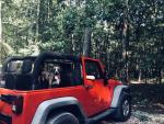JKJeepGuy2011's Avatar