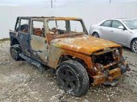 Travis Patton's Avatar