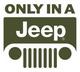 SnakeskinJeep's Avatar