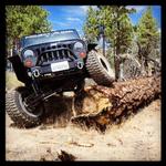 Charlie Mike's Avatar