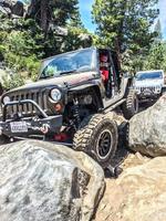 gnarlyswine's Avatar