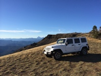 2yellowlabs's Avatar