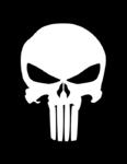 Punisher8808's Avatar