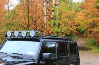 CharlieInTheTree's Avatar