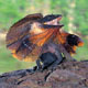 Jose L. Moro's Avatar