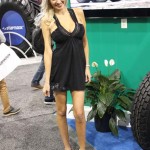 Performance Models: The Ladies of SEMA 2013