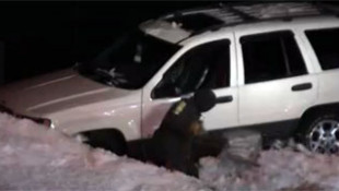 Jeep Grand Cherokee Does a Sled-Dog Impression on a Snowbank