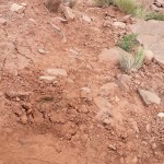 JK Forum at the 2014 Moab Easter Jeep Safari - Photo and Video Recap