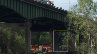 Jeep Caught in Tree After Nose Diving Off Bridge
