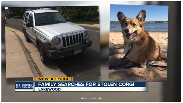Jeep Stolen With Family’s Corgi Found, but Dog Still Missing