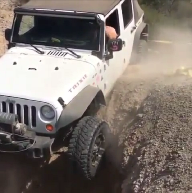 This Jeep Wrangler Stuck Its Nose Somewhere It Shouldn’t Have