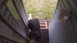 Jeep Owner Uses Blank Shotgun Shells to Foil Thieves