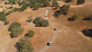 Does Gas or Diesel Work Better for Off-Roading?